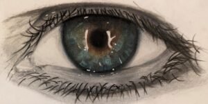 PXL_20240218_010406285.MP~2