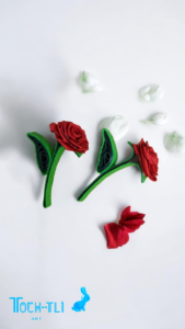 Photoroom-20240928_164200 (1)